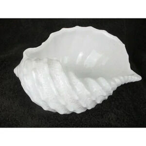 Marine Shell Vase, Seashell, Coastal Planter white‎ Flower planter midcentury